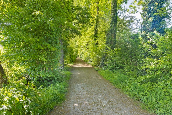 Foto 66 van Eikepage 18