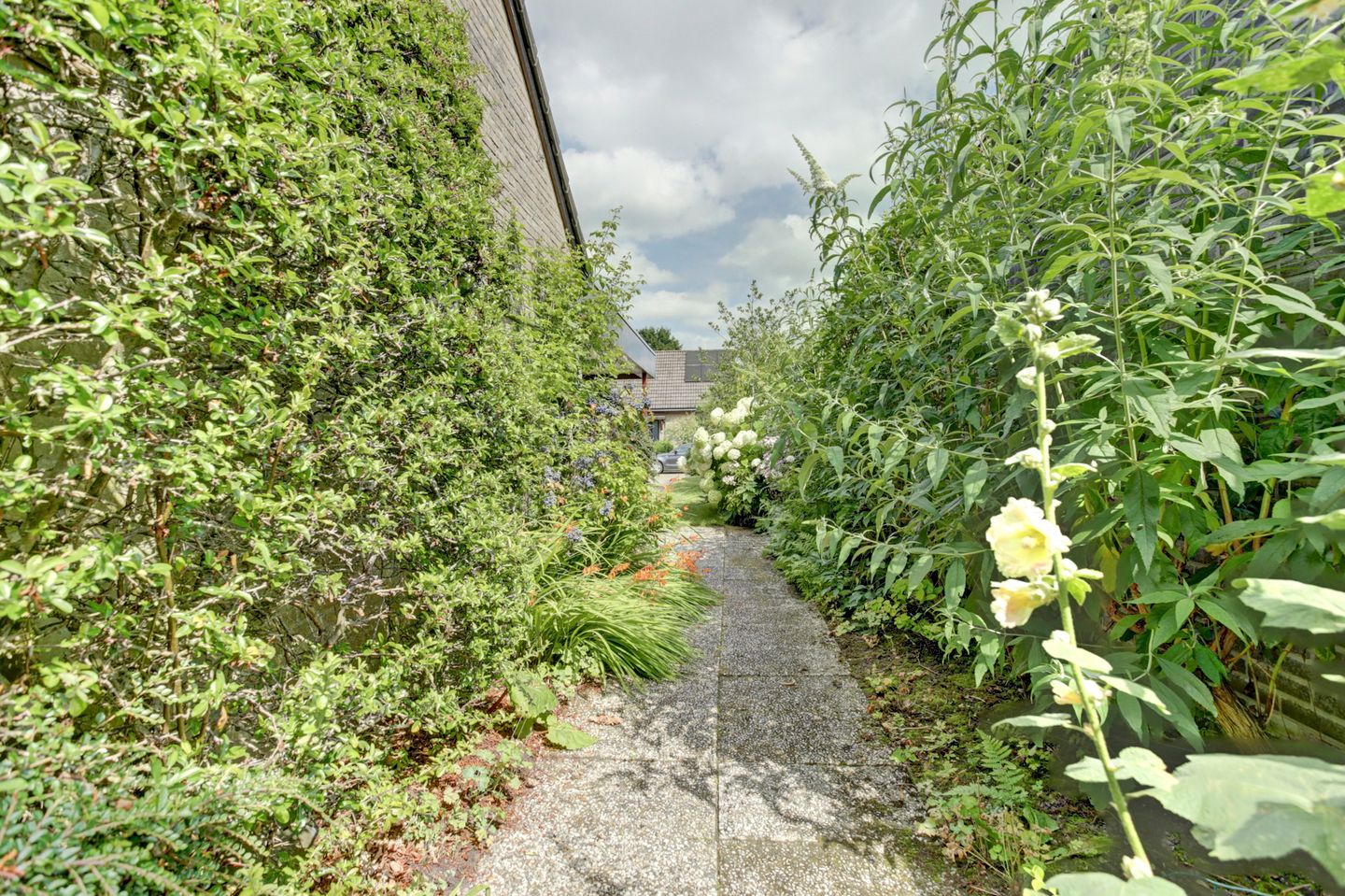 Photo 44 of Hunzestraat 2