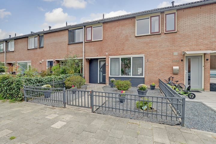 Malvert 3208 main image