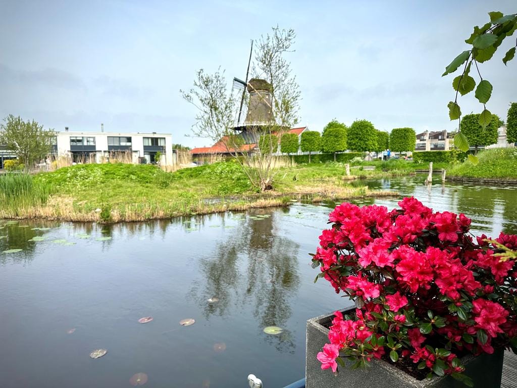 Photo 1 of Schoorlaan 45