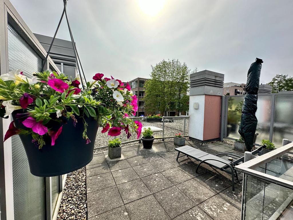 Photo 44 of Schoorlaan 45