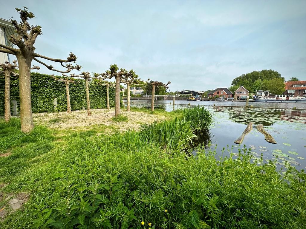 Photo 50 of Schoorlaan 45