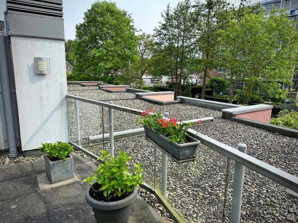 Photo 46 of Schoorlaan 45