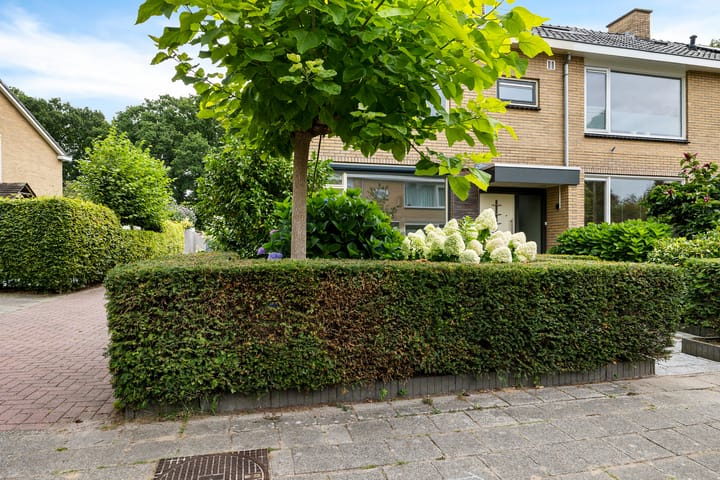 Foto 4 van Paulus Potterweg 37