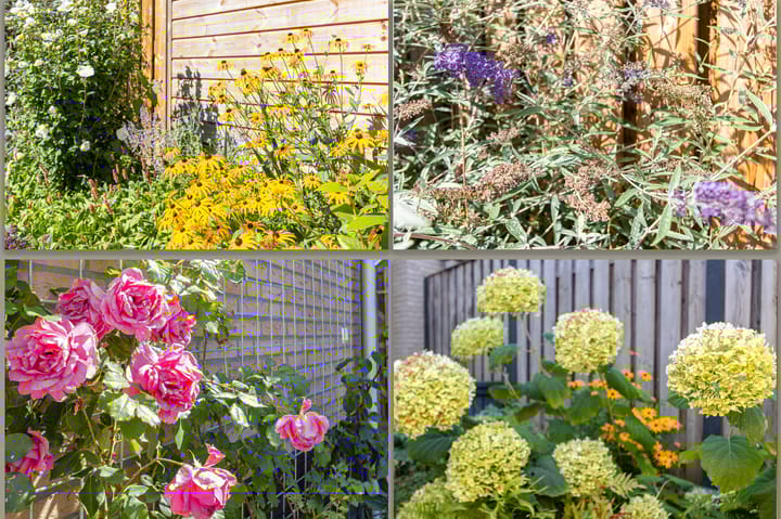 Foto 47 van Koekoek 9