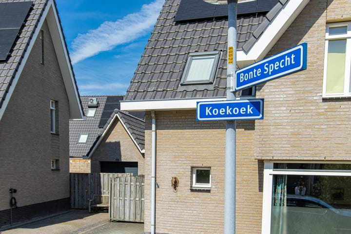 Foto 52 van Koekoek 9