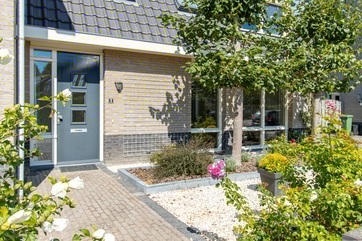 Foto 55 van Koekoek 9