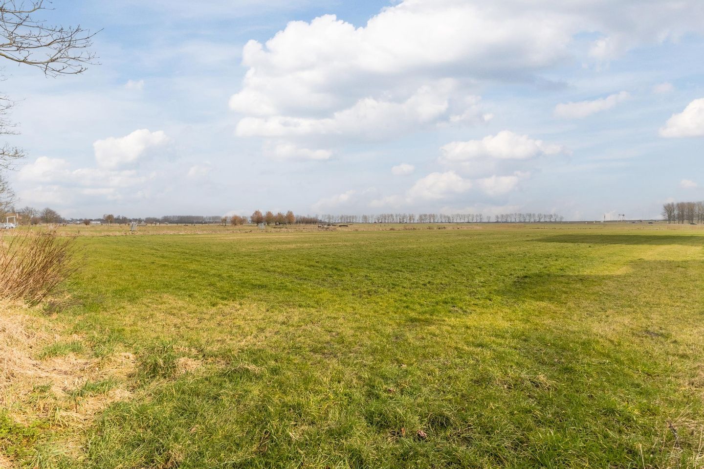 Foto 59 van Burgemeester van Roosmalenstraat 6