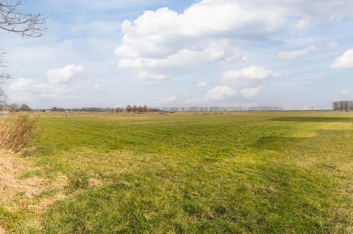 Foto 59 van Burgemeester van Roosmalenstraat 6