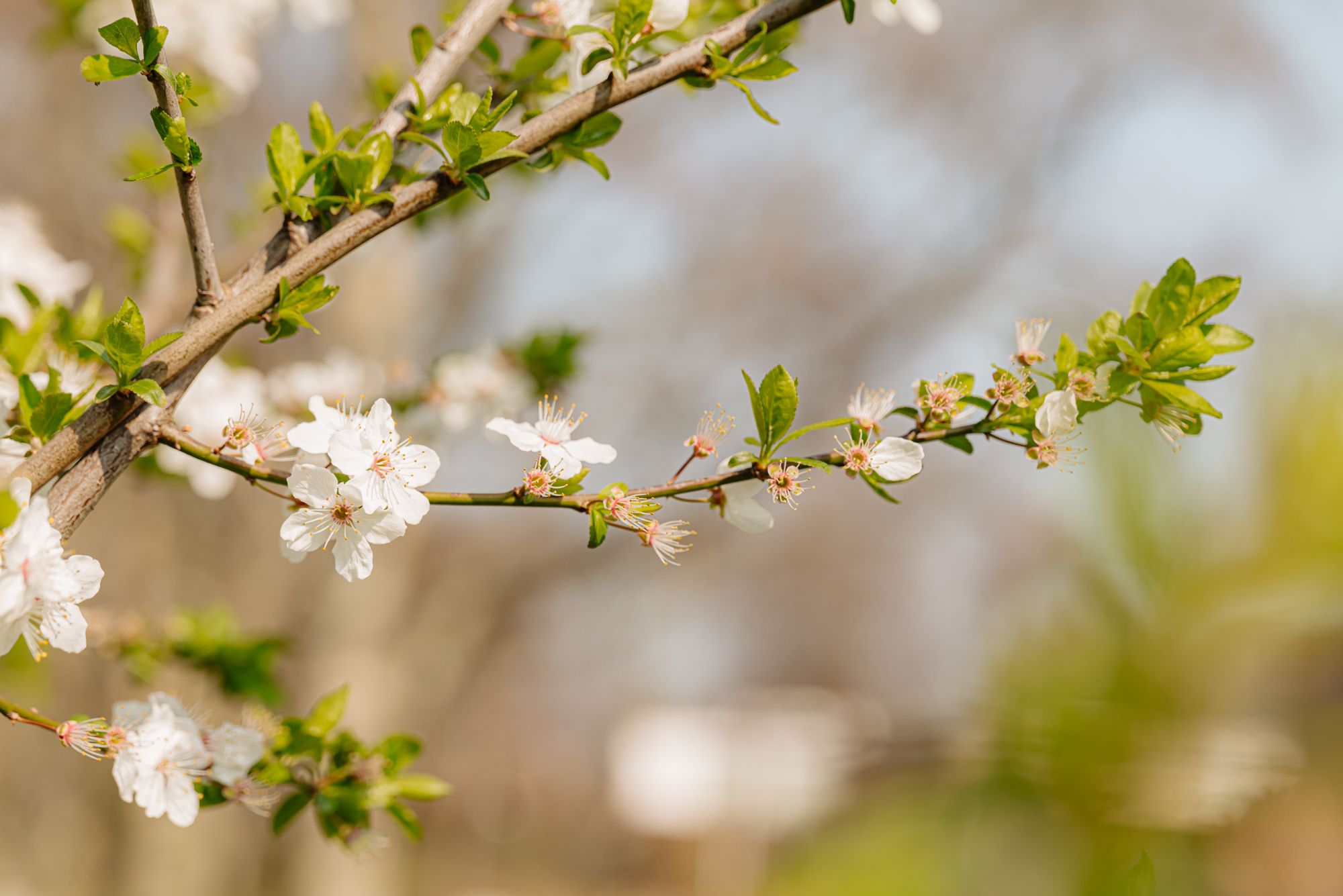 Foto 21 van Straat van Makassar 65