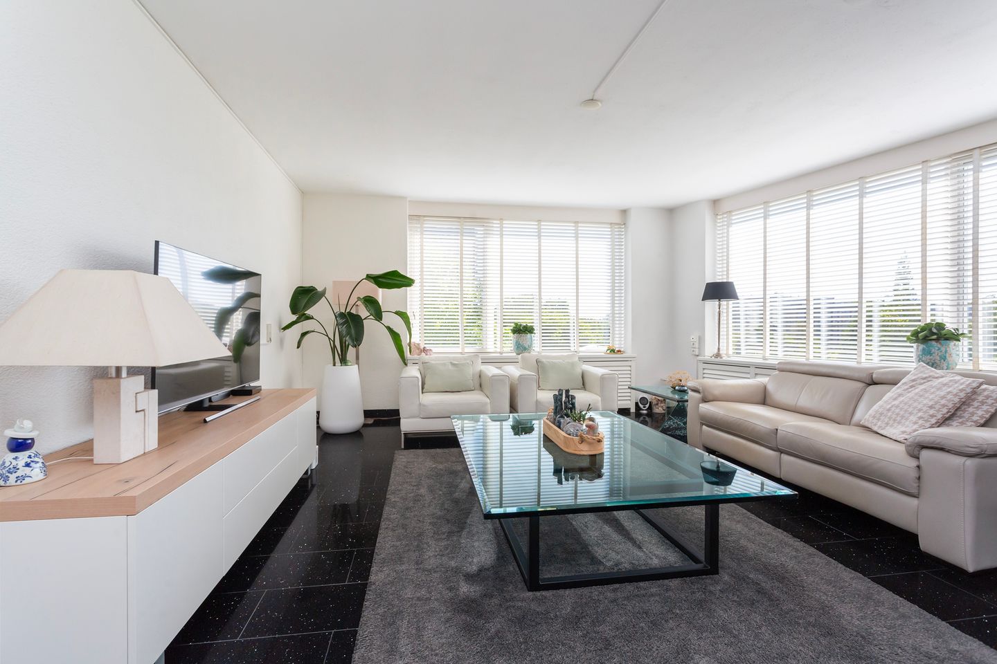 Foto 4 van Anatole Franceplaats 448