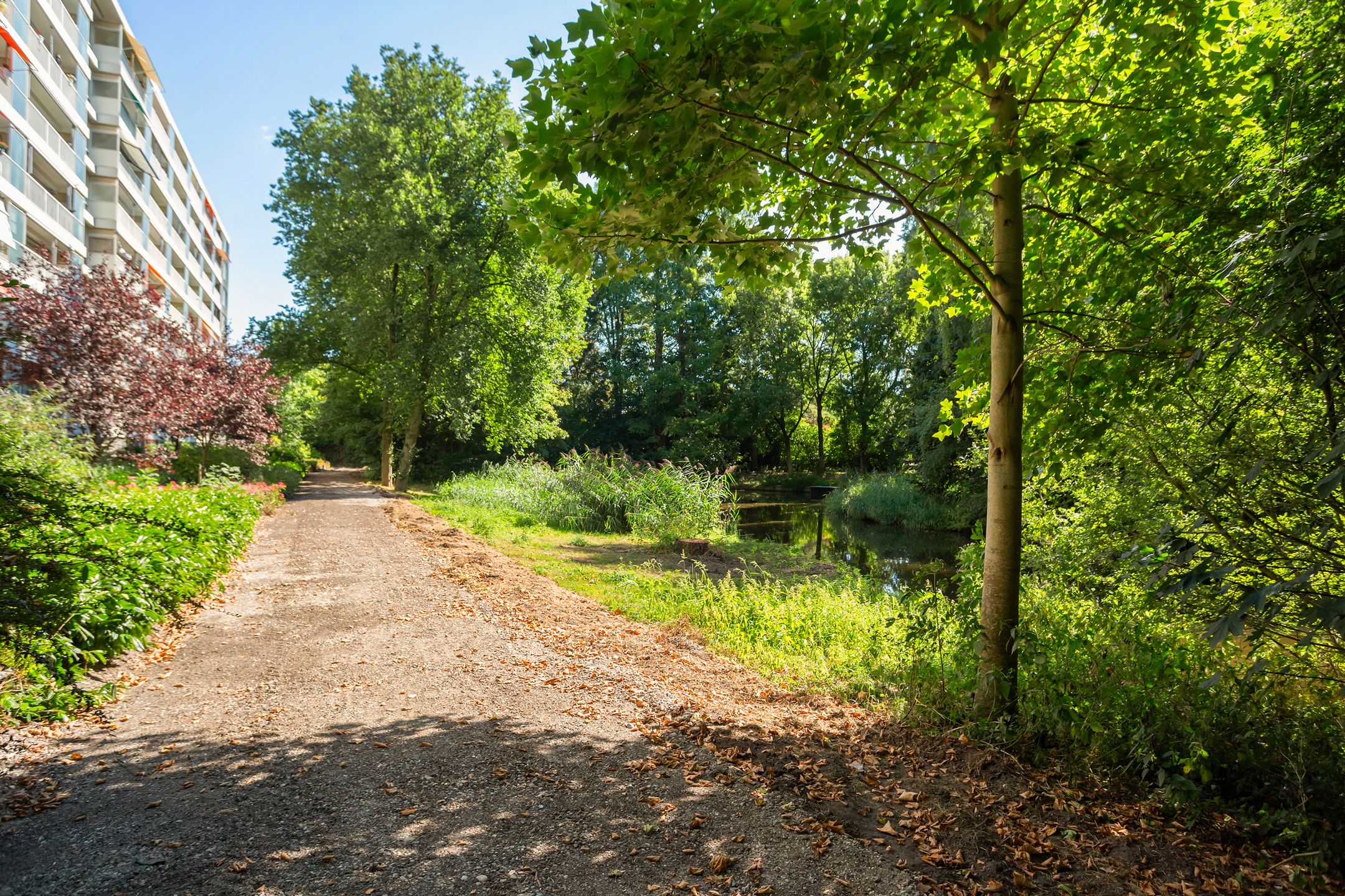 Foto 15 van Anatole Franceplaats 448