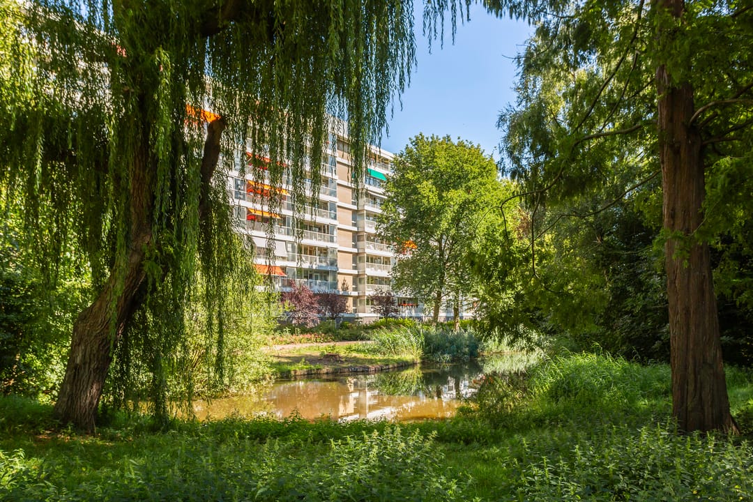 Foto 16 van Anatole Franceplaats 448