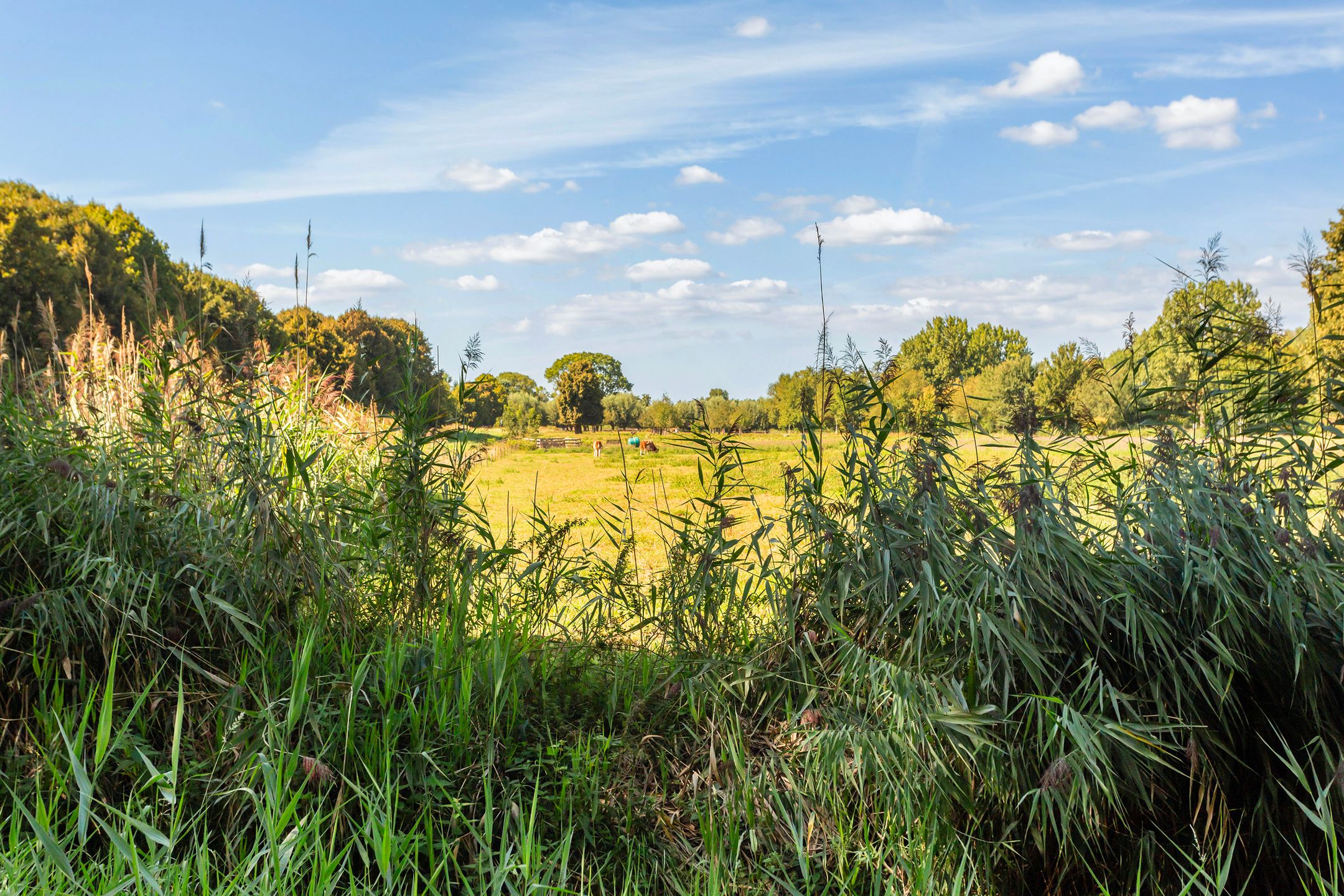 Foto 18 van Anatole Franceplaats 448