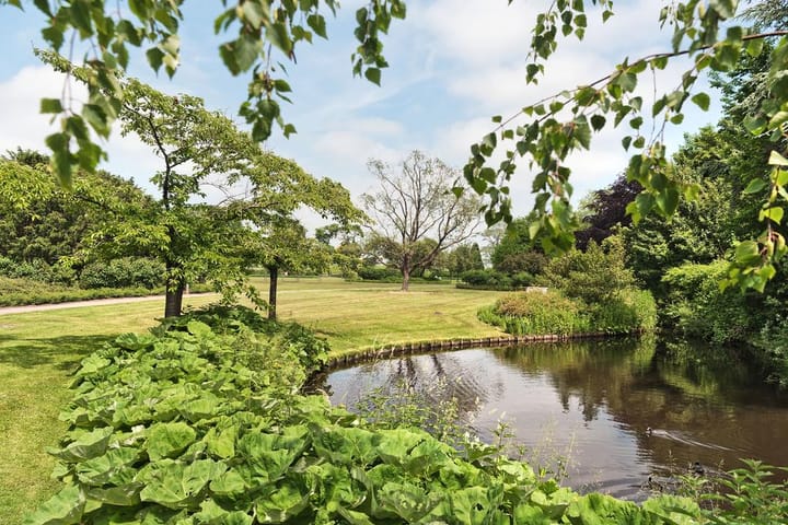 Foto 27 van Jac. P. Thijsselaan 31