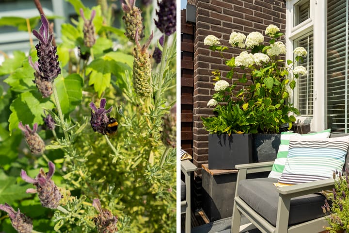 Foto 43 van Noorderhavenkade 111-C02