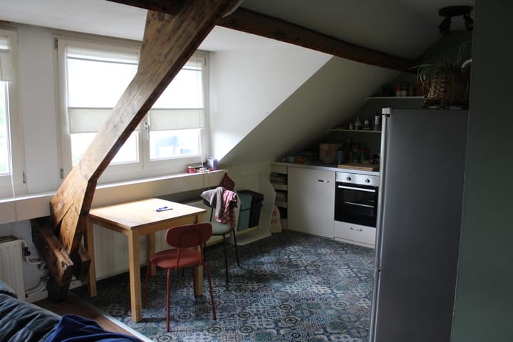 Foto 11 van Dautzenbergstraat 15-C