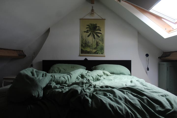 Foto 18 van Dautzenbergstraat 15-C