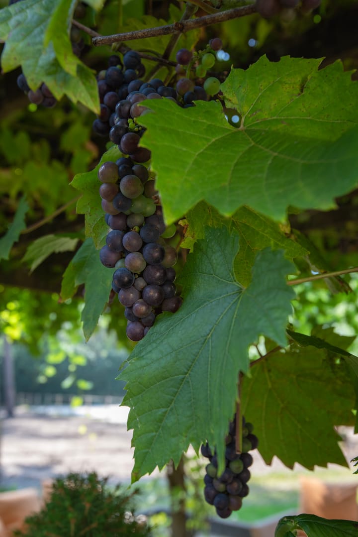 Photo 28 of Klarenweg 62