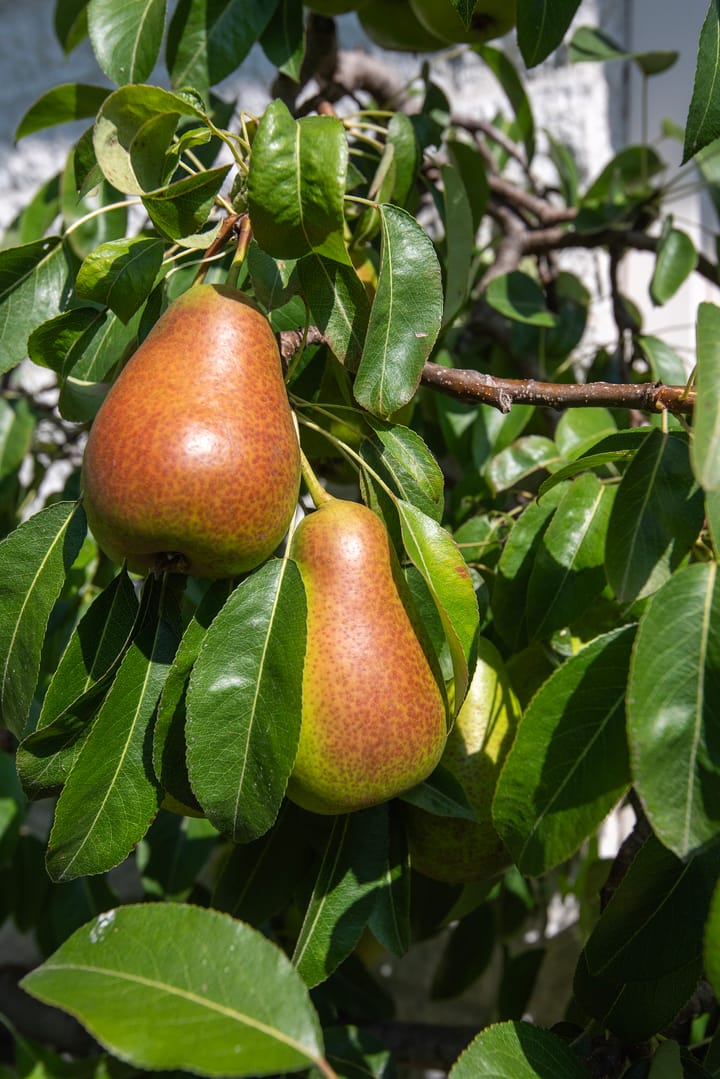 Photo 29 of Klarenweg 62