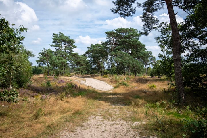 Photo 42 of Klarenweg 62