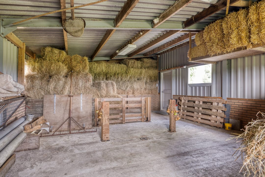 Foto 41 van Kadijk 12