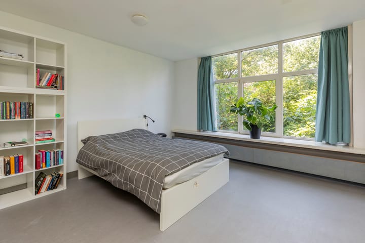 Foto 30 van Van Cittersstraat 45-B