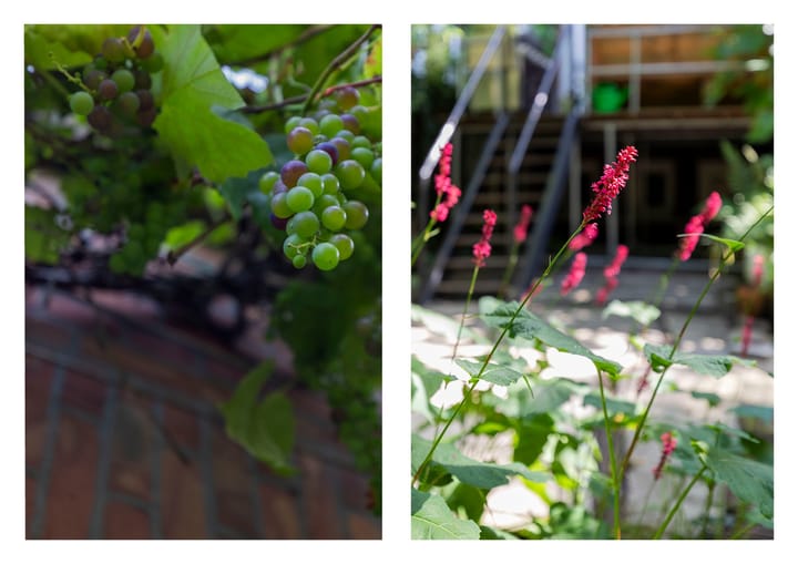 Foto 50 van Van Cittersstraat 45-B