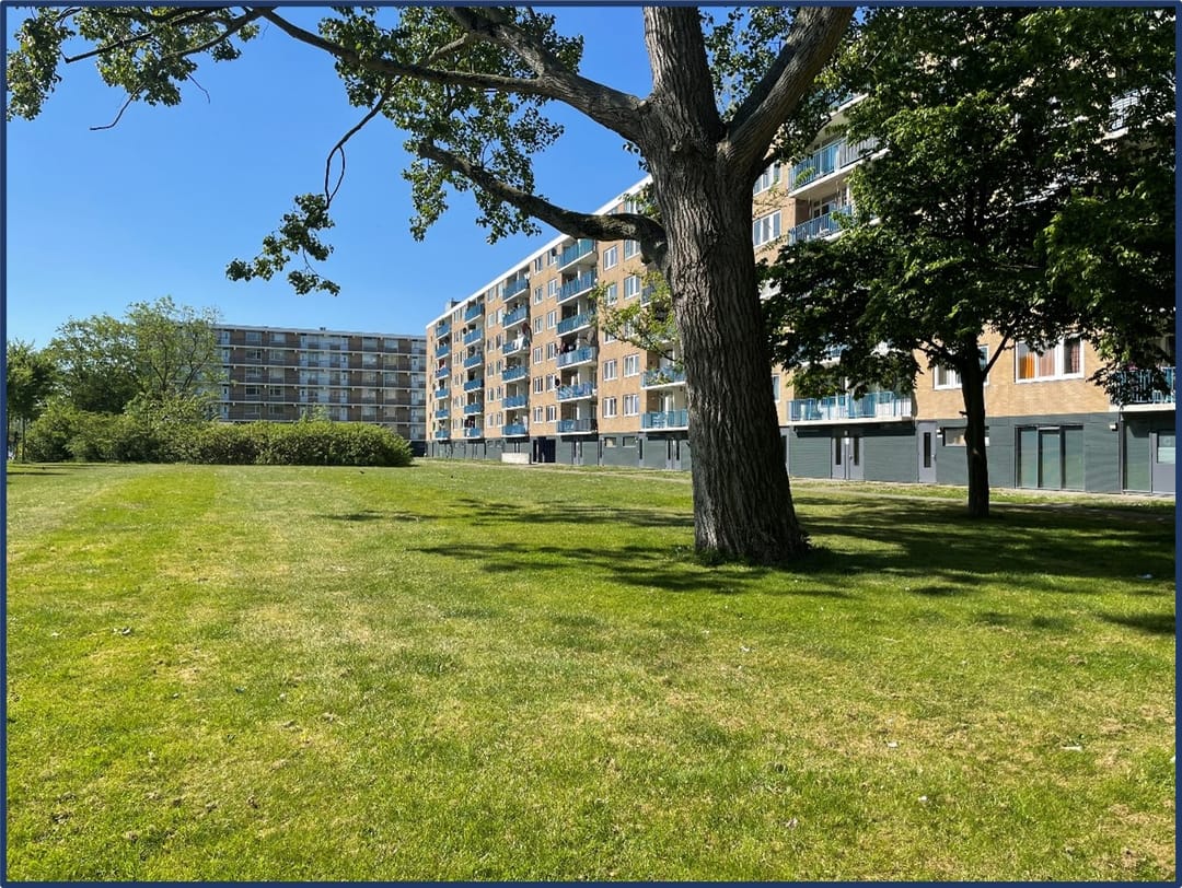 Foto 1 van Venusstraat 374