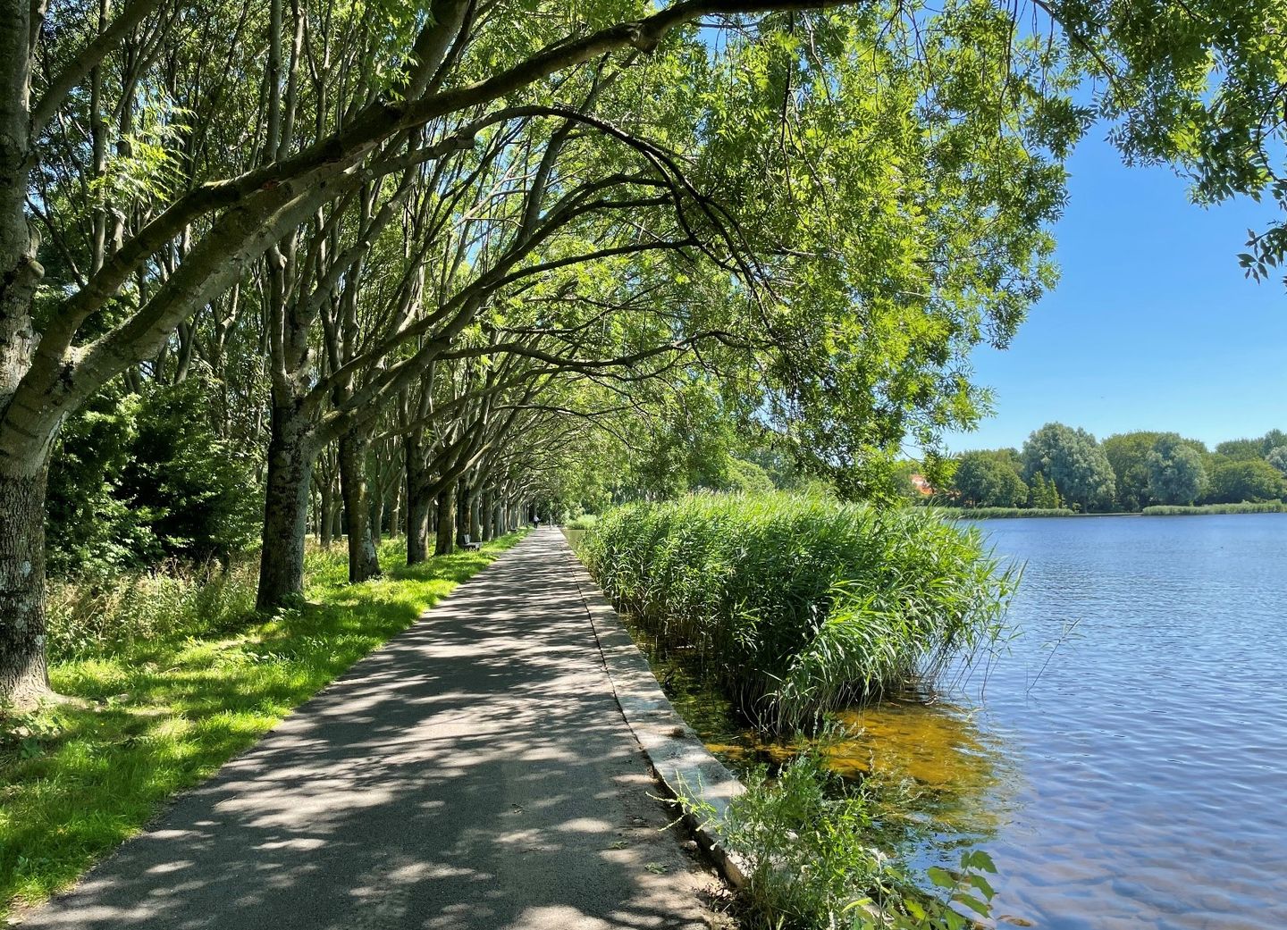 Foto 20 van Venusstraat 374