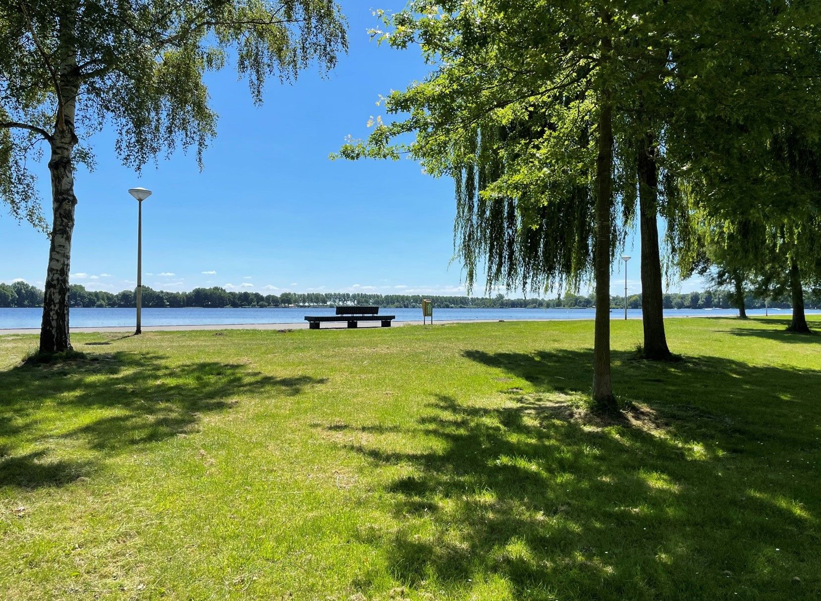 Foto 21 van Venusstraat 374