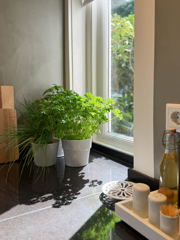 Foto 17 van Kruisweg 33