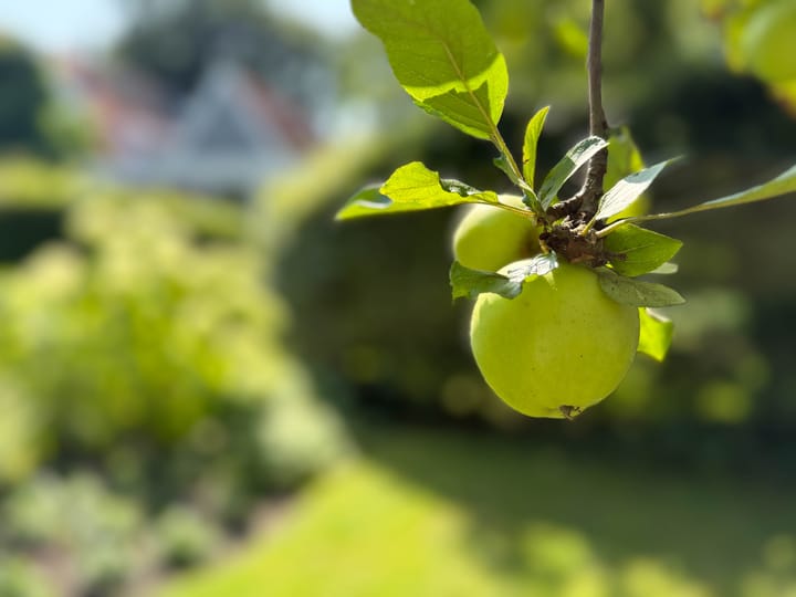 Foto 62 van Kruisweg 33