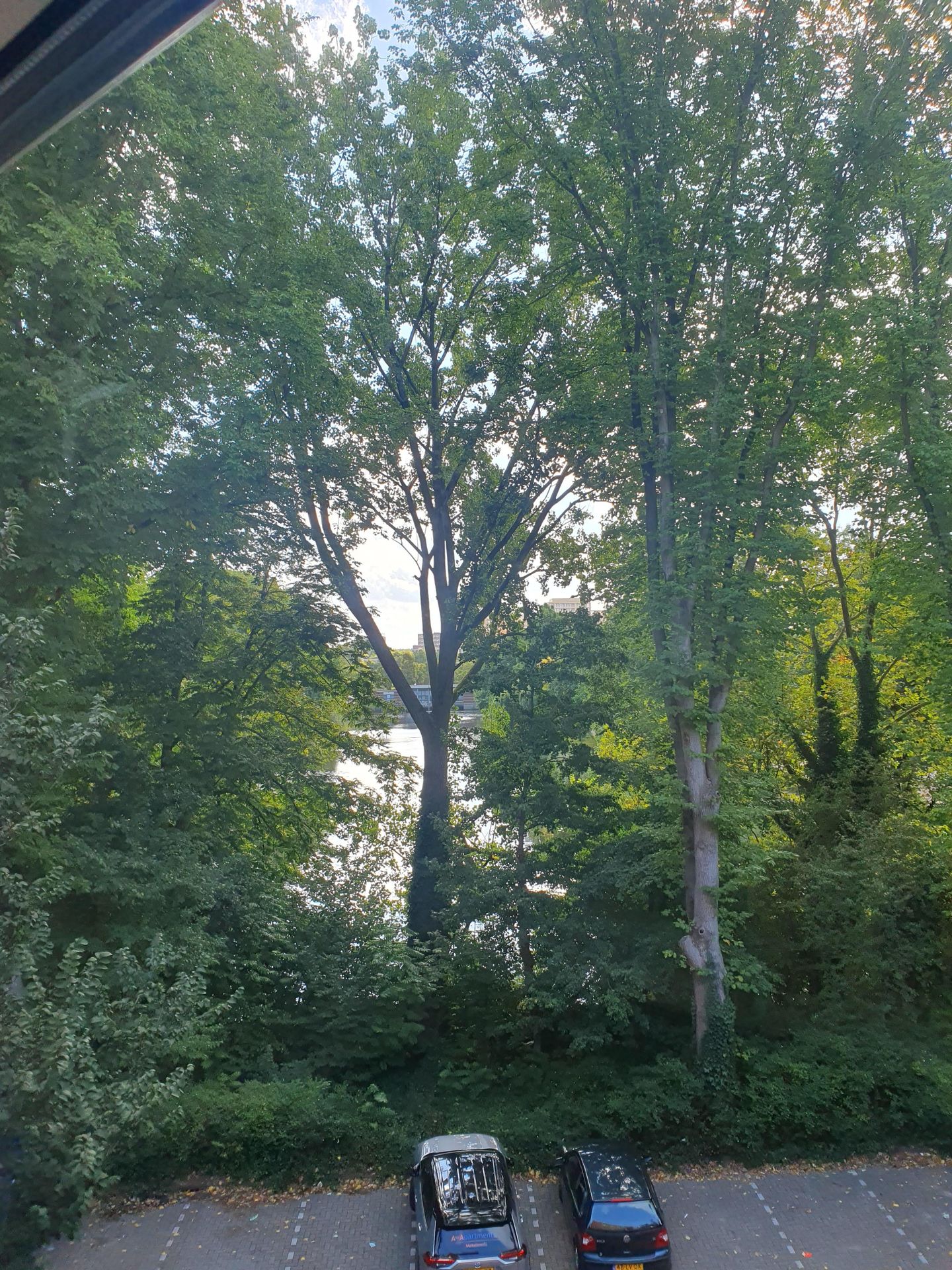 Foto 34 van Ilperveldstraat 142