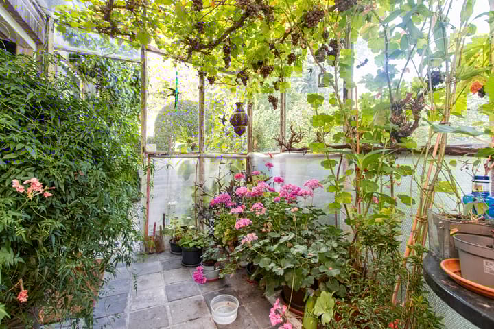 Foto 8 van Steenweg 7