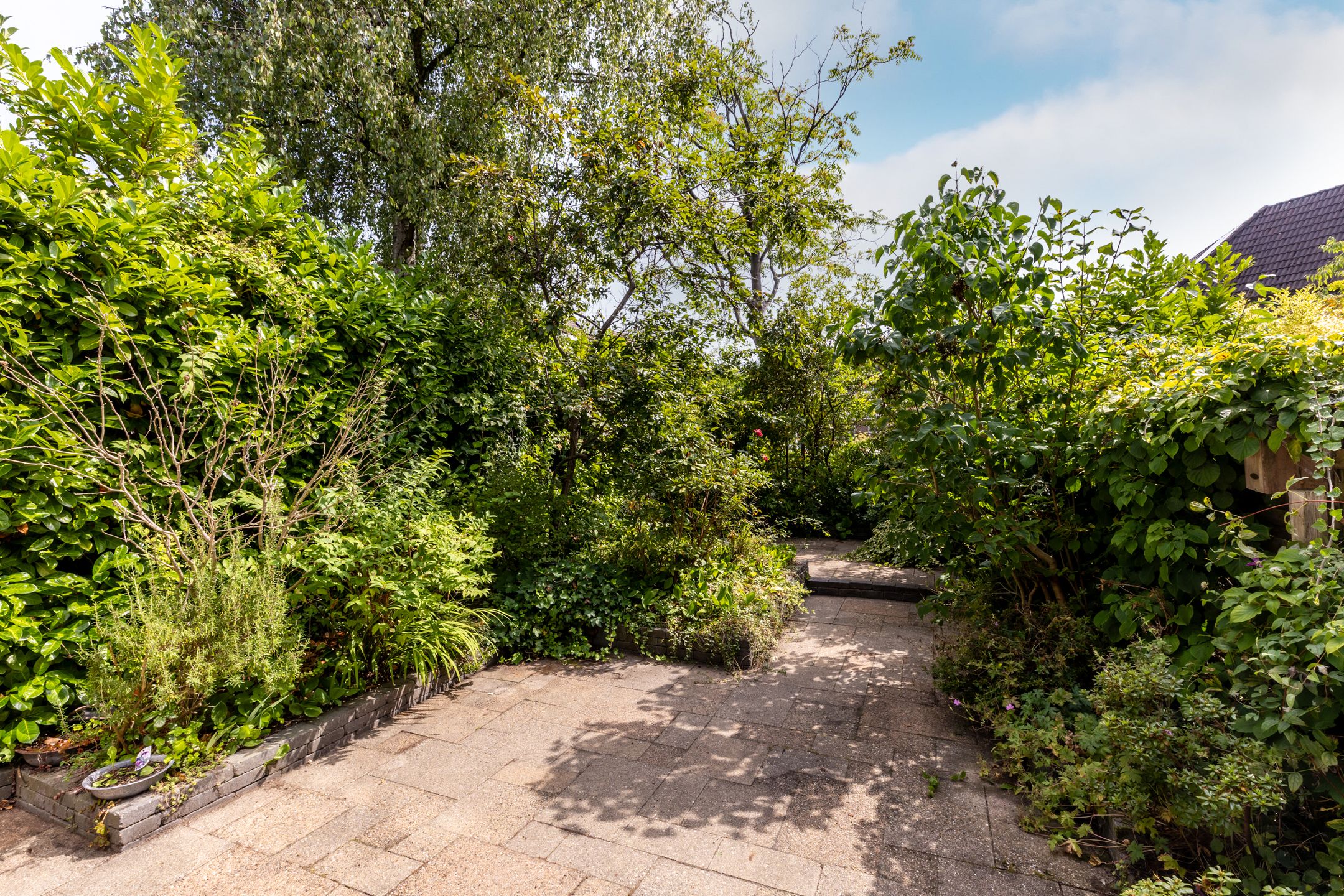 Photo 3 of Willem-Alexanderplantsoen 128