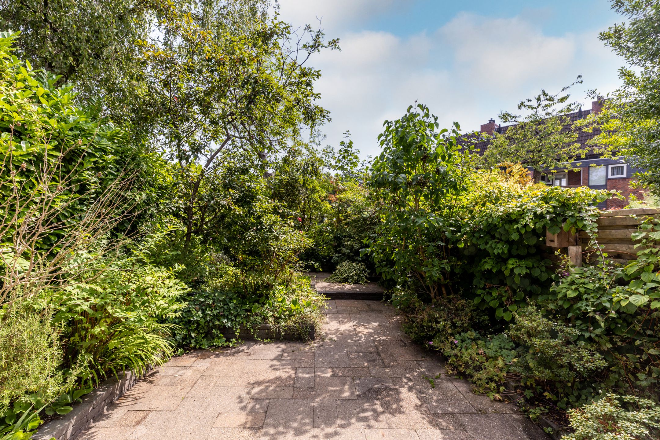 Photo 27 of Willem-Alexanderplantsoen 128