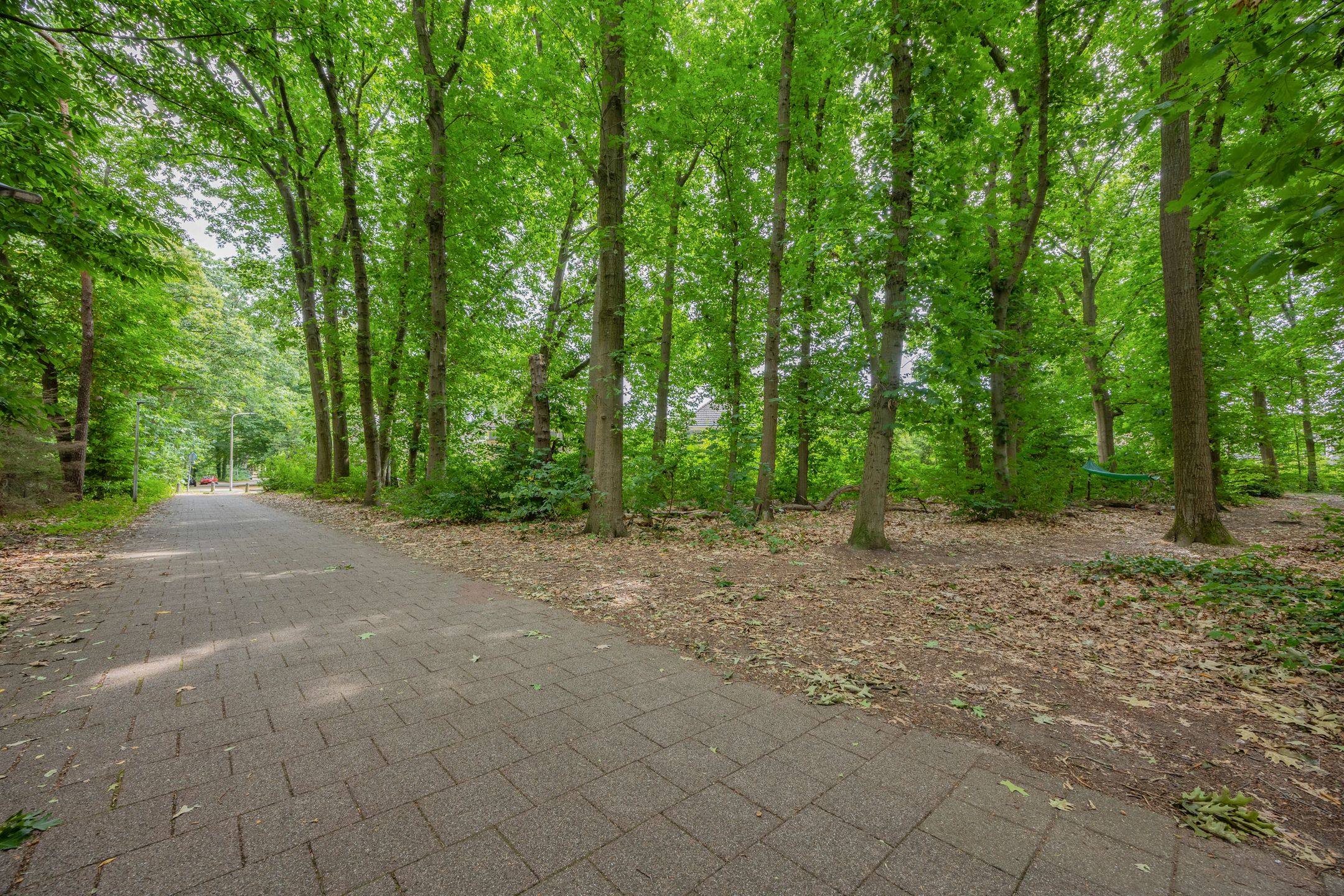 Foto 42 van Annie Romein-Verschoorlaan 14