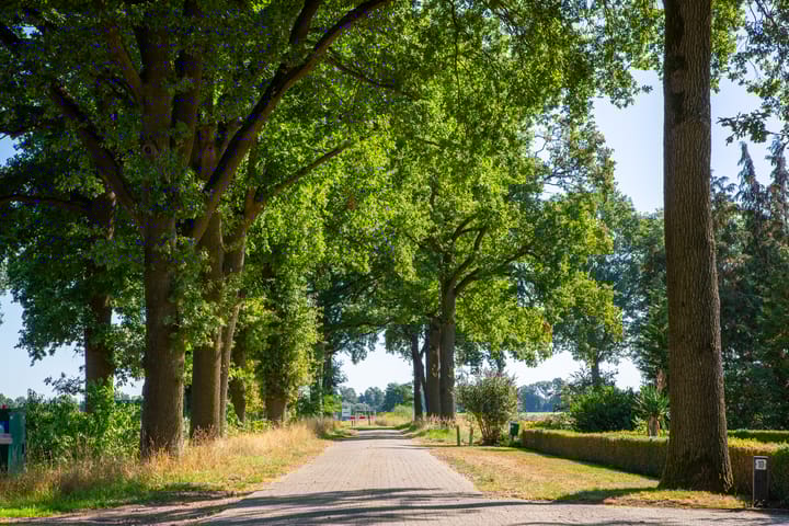 Foto 47 van Boldermansweg 12