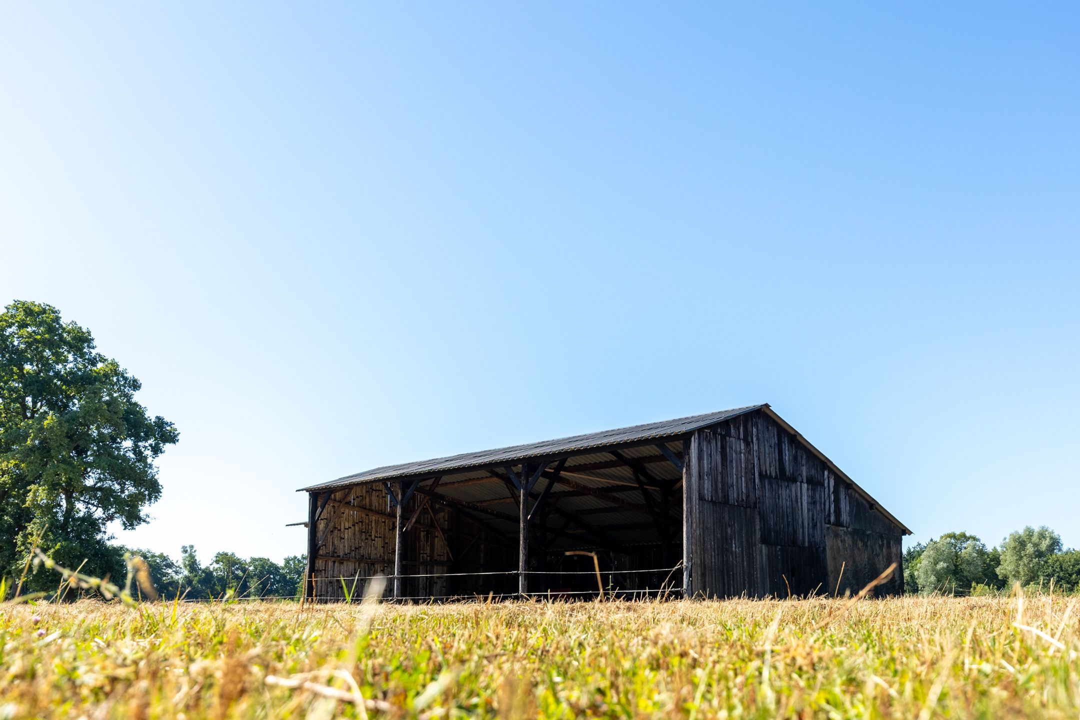 Photo 42 of Boldermansweg 10