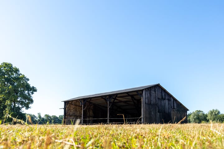 Foto 42 van Boldermansweg 10