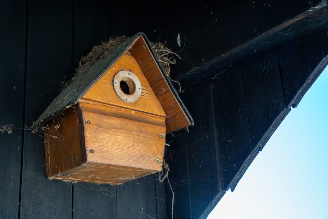 Photo 43 of Boldermansweg 10