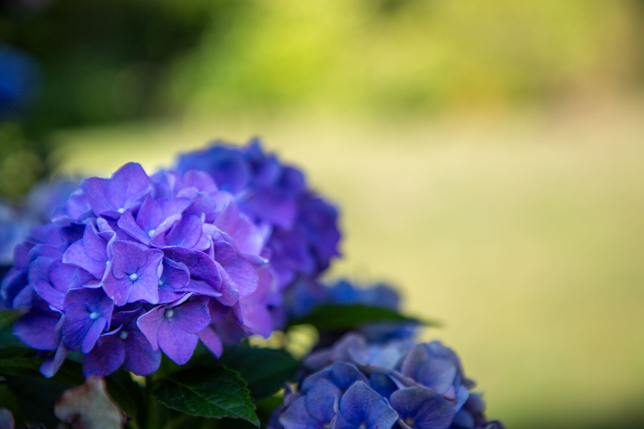 Photo 45 of Boldermansweg 10