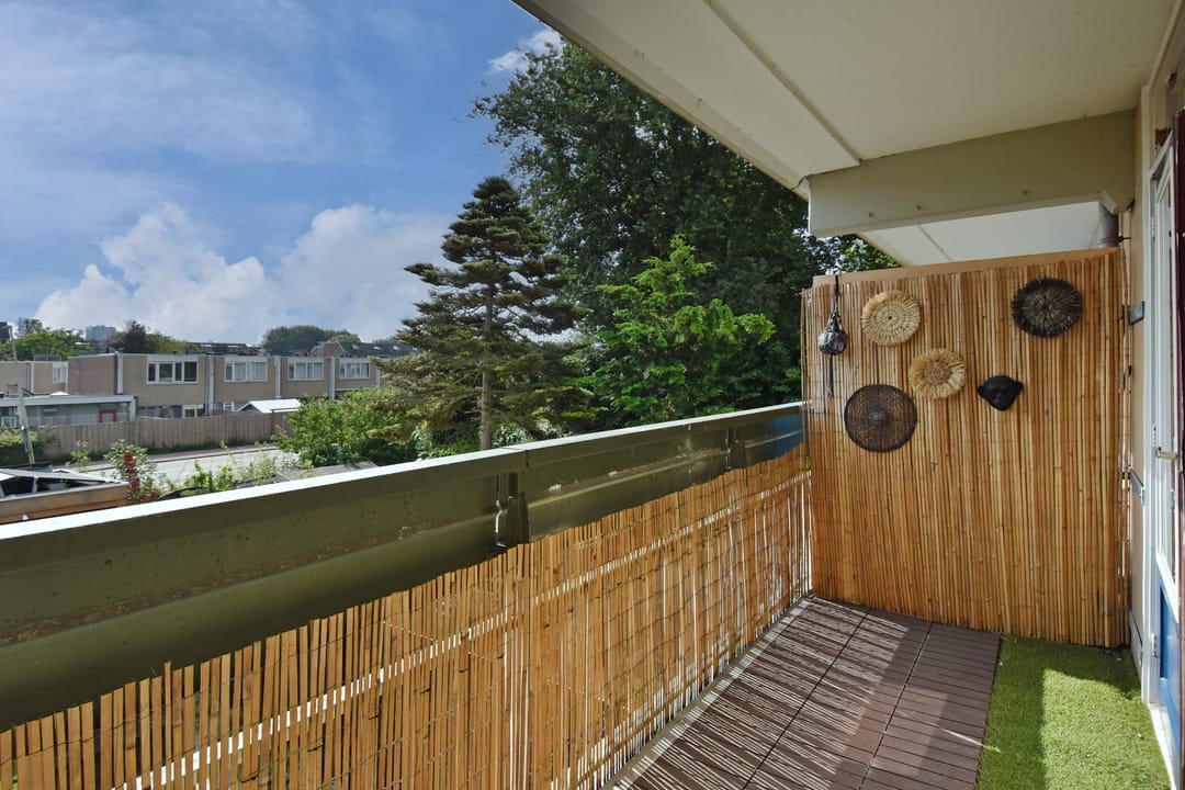 Photo 46 of Diepenbrockrode 22