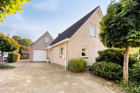 undefined main image