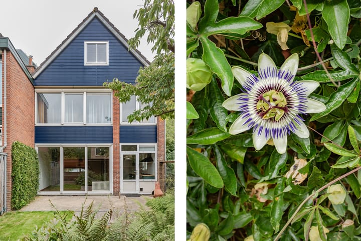 Foto 37 van Liornestraat 141