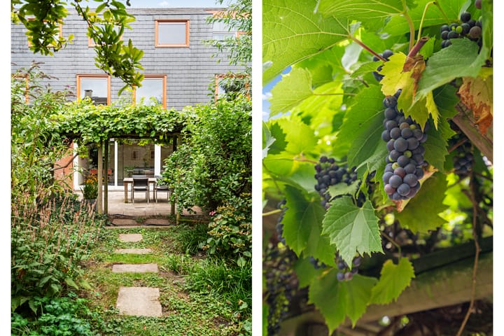 Foto 3 van Koldijksterraklaan 194