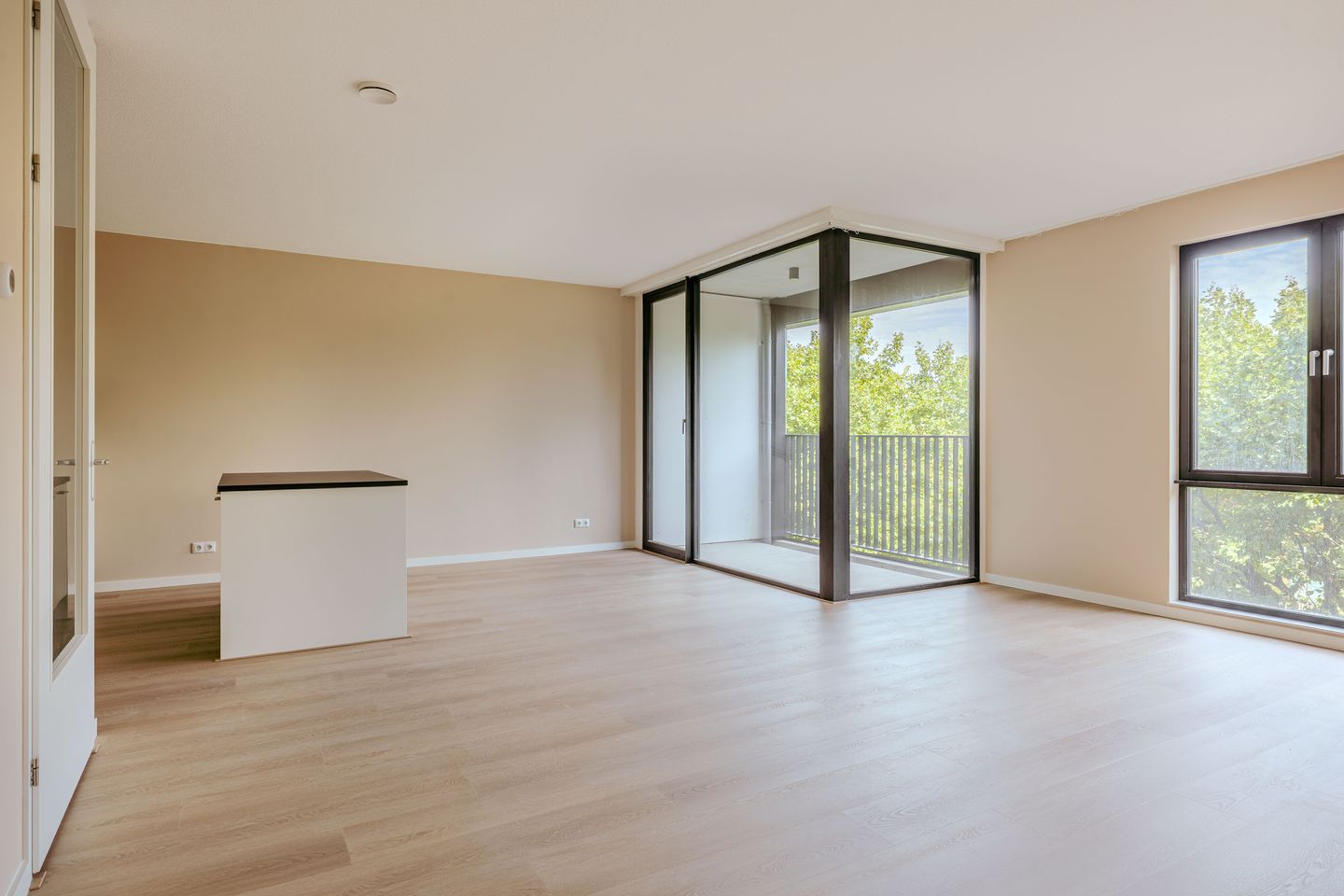 Foto 5 van Dudokstraat 36