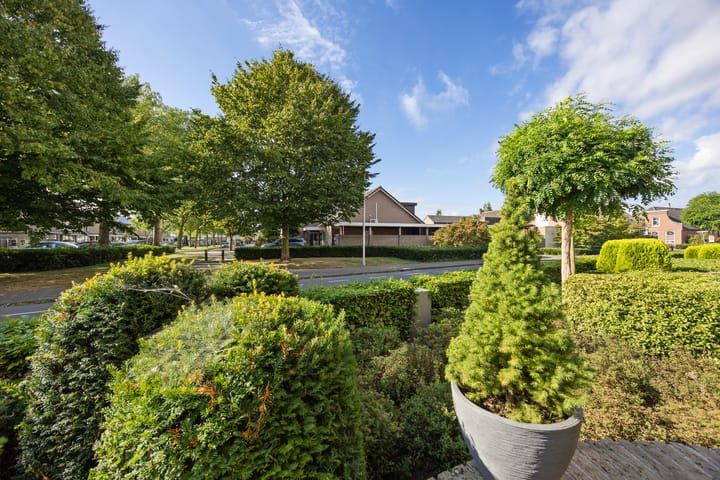 Foto 12 van Hugo de Grootstraat 102