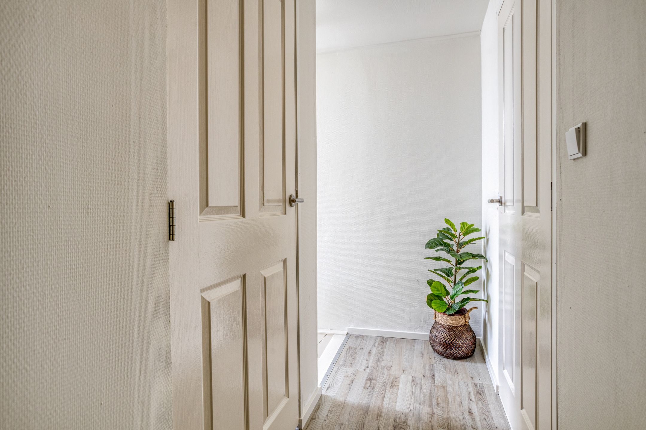 Foto 21 van 3e Woudstraat 9